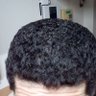 パンチ(押忍野郎改) profil fotoğrafı