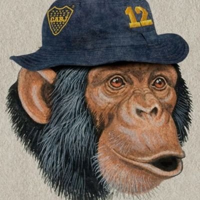 vagoybostero's profile picture