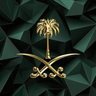 الا السعودية 的头像