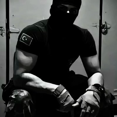 Codigo Del Alphx's profile picture