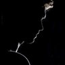محمد's profile picture