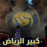 Profilbild von 💛النصر💙