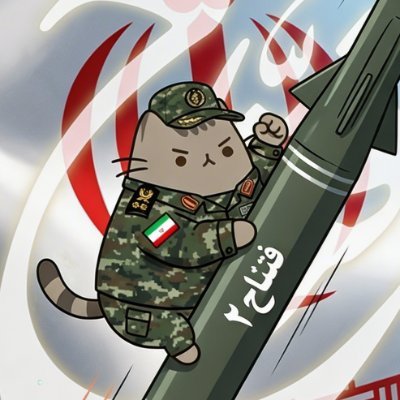 🔻 🇰🇵National Juche 🟩☫🟥 🪂🇵🇸🇾🇪🇱🇧🇨🇳's profile picture