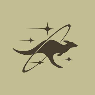 build_aus's profile picture