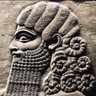 Profilbild von Al-Sharouki, son of Basra