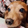 Profilbild von あっくん