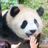 Фото профиля Rico哲学与你