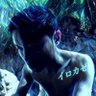 イロカゼ 的头像