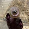 いっき 的头像