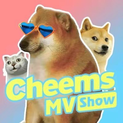 chsndw's profile picture