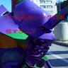Фото профиля トッシー