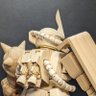 くまぷん 的头像