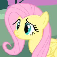 Bebey's profile picture
