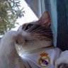 @kushgod9800 profil fotoğrafı