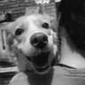 Rageren's profile picture