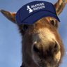 Profilbild von George