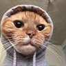 murphyfnr's profile picture