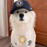 benji_official's profile picture