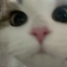 seoksu^ ^ 的头像