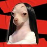 Profilbild von Delulu Mimosa 🍄