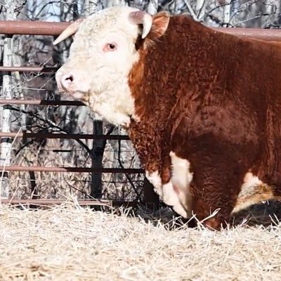 Ian Glass's profile picture