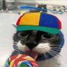 sillycat's profile picture