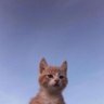 Bank093's profile picture