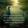 Фото профиля Wilson🇧🇷🇦🇷🇮🇱