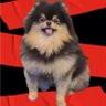 Lzz⁷| arirang's profile picture