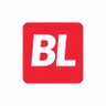 BriefLedger ็ๅคดๅ