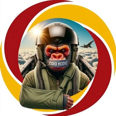 Nifu-Nifa 🇪🇸's profile picture