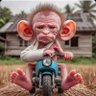 Chico Morboso's profile picture