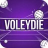 Profilbild von voleydie