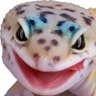 Profilbild von JohnX