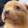 Bliss profil fotoğrafı
