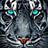 David Ducasse's profile picture