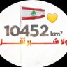 Loubnan Fiقalbi's profile picture
