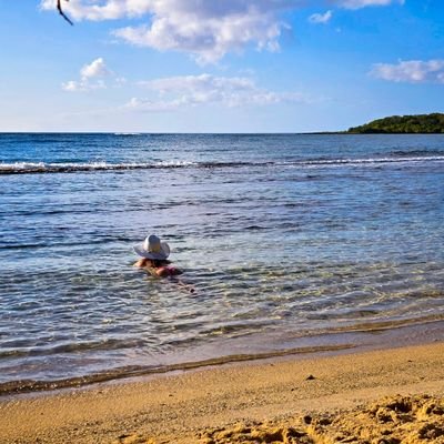 Exhib_Us's profile picture