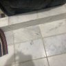 Ca profil fotoğrafı
