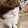 Profilbild von ๐โห โฮฑiโฮฑ. เธเธนเนเธเธนเนเธเธธเธเธดเธง .๐งธ