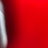 Top of the Hill's profile picture