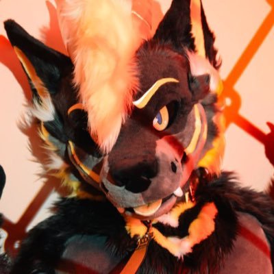 ✨ Lyte ✨'s profile picture