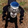 Only Pedophiles support Israel. profil fotoğrafı