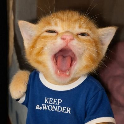 DREAMชน์ พชรฐากูร ᰔᩚ JKR ของ 💫LINGORM 🐕🪽🦋🥚's profile picture