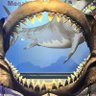DeezNuuuutzzzz's profile picture