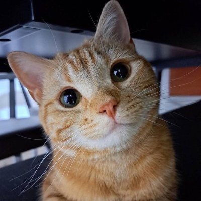 0755flymenanyd's profile picture