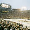 Green Bay Badger's profile picture