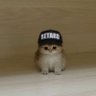 Profilbild von DANDA