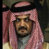 Profilbild von Abu Naif