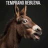 PericoDeLosPalotes's profile picture